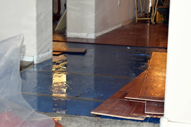 Professional Sewage Cleanup technician working in Washington, WV